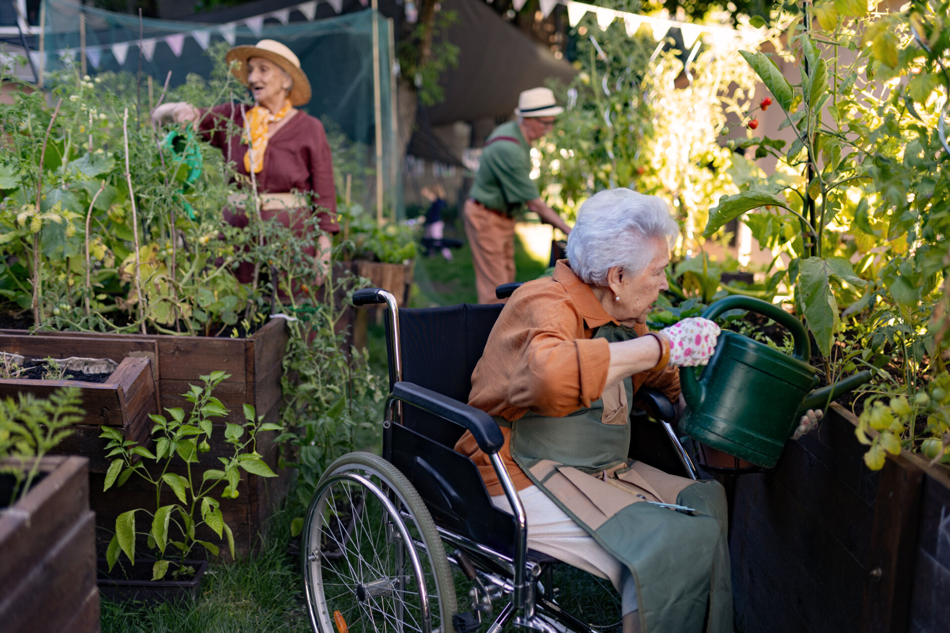Person-centred care focused on wellbeing