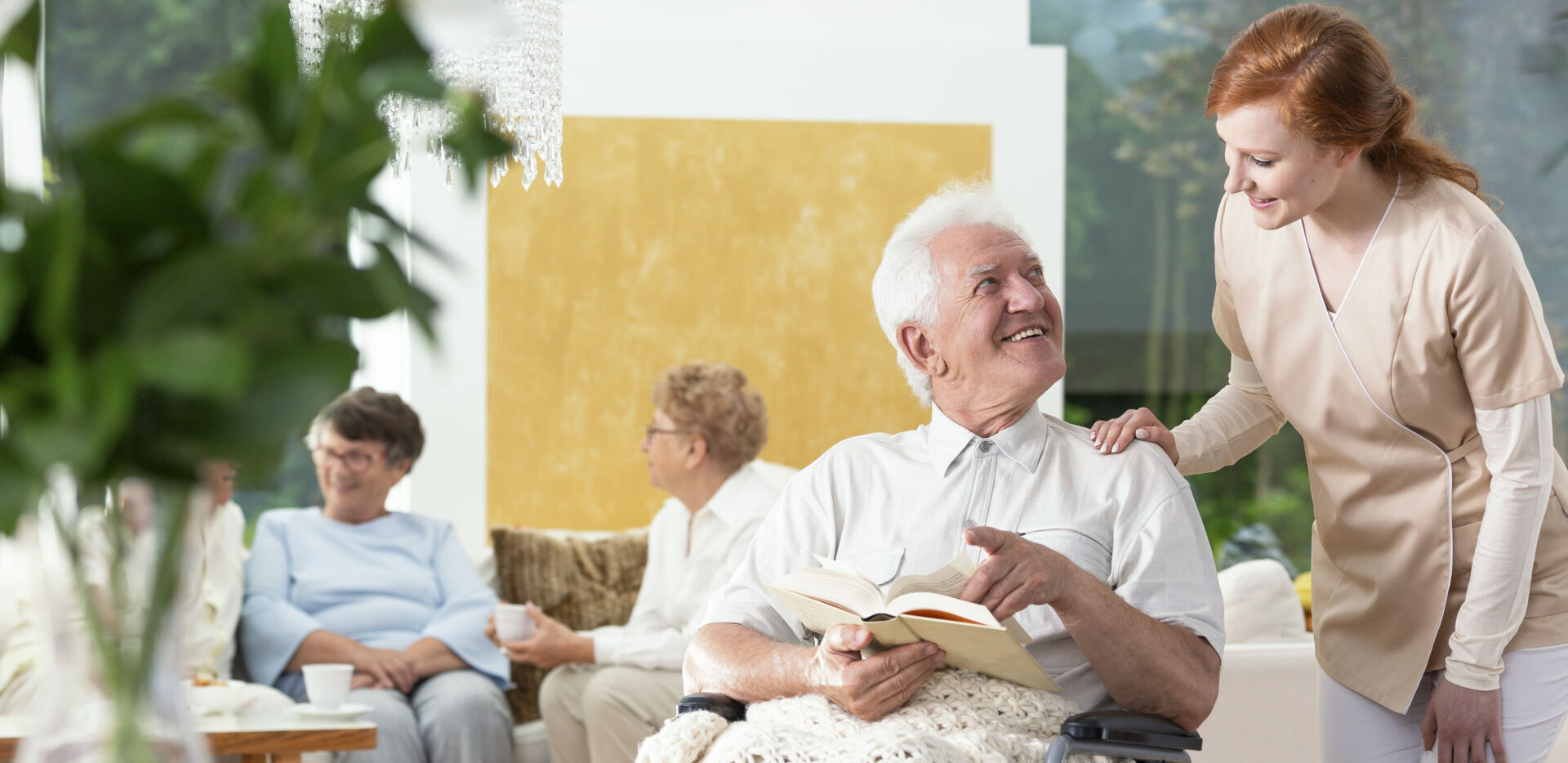 Contact SES Care Homes for high-quality care in a homely environment