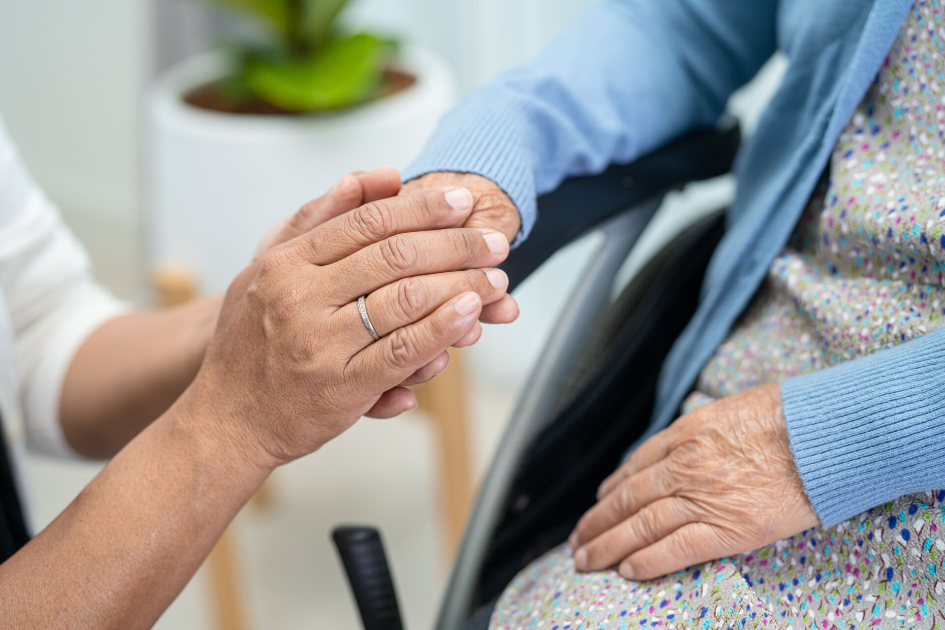 Experienced carers delivering quality support